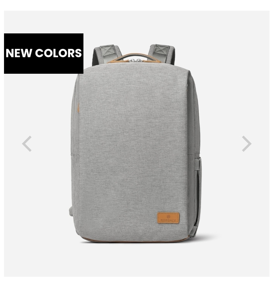 Nordace Gray Backpack